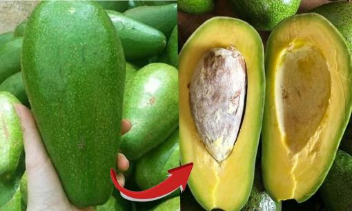 Người bán bơ lâu năm chia sẻ mẹo chọn bơ chuẩn vị béo ngậy, 100 quả như 1, không sượng, không đắng