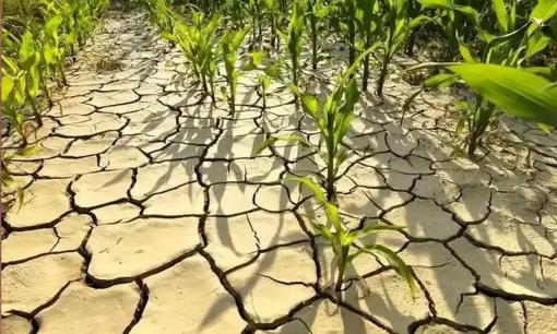 Có một câu nói cũ rằng “Ngày 26 tháng 2 âm lịch đáng sợ”, ngày mai là ngày 26 tháng 2, chúng ta sợ điều gì? 