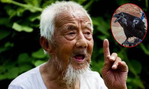 Khi về già mối quan hệ với con cái tốt nhất chính là ''định luật con quạ'', đó là gì?