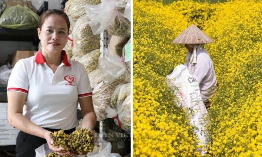 Trồng cây thơm như nước hoa, chị nông dân nhẹ nhàng thu về gần 5 tỷ đồng/năm