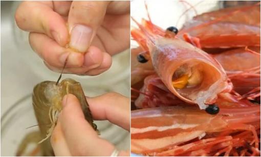 Những bộ phận cực độc ở tôm, tránh ngay kẻo 'rước họa vào thân'