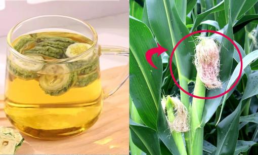 2 nguyên liệu kết hợp cùng nước nóng thành thuốc bổ thượng hạng cho sức khỏe