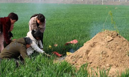 Sau khi viếng mộ, tốt nhất nên 'kiêng kị' năm điều sau, đặc biệt là điều thứ năm