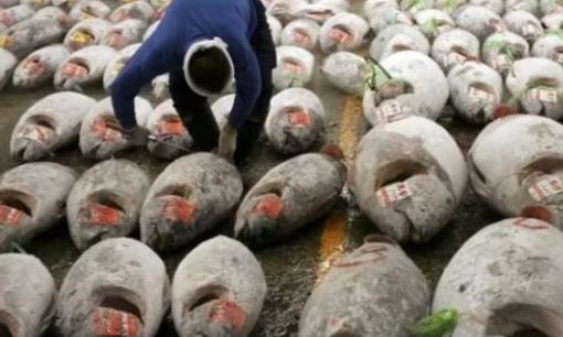 Việt Nam có một 'siêu thực phẩm' trở thành đối thủ lớn của Thái Lan, thu về hơn 139 triệu USD trong 2 tháng đầu năm