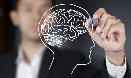 Nghiên cứu của Đại học New York: Ở hai độ tuổi này, não sẽ lão hóa 'như vực thẳm', vì vậy hãy can thiệp càng sớm càng tốt