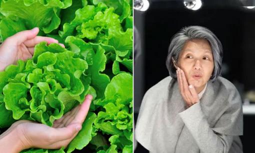 Rau diếp trở thành tâm điểm! Nhắc nhở: Ăn rau diếp thường xuyên, trong vòng 3 tháng, cơ thể bạn có thể có 4 cải thiện lớn