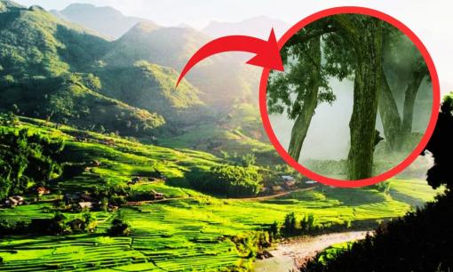 Phát hiện 'mỏ kho báu' nghìn năm tuổi ẩn mình dưới núi thiêng 400km2, Liên Hợp Quốc ngay lập tức kêu gọi bảo vệ