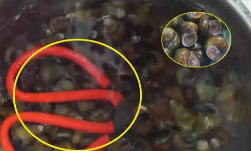 Nhờ mẹo nhỏ bà dạy trong bước đầu tiên rửa ốc, tôi đã biết cách rửa ốc sạch sẽ mà chẳng mất nhiều công sức