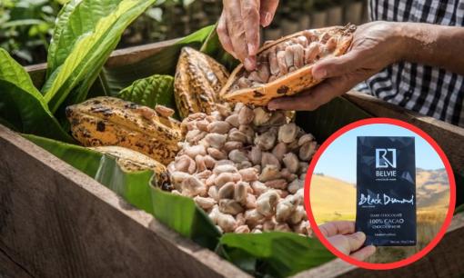 Việt Nam khẳng định vị thế khi sở hữu loại ‘kim cương đen’ chỉ 20 nước trên thế giới có