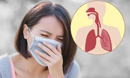 Đờm ho ra từ phổi 'bẩn' đến mức nào? Nếu nuốt phải thì có gây hại cho cơ thể không? Cho bạn biết câu trả lời