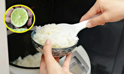 Trước khi nấu cơm nhớ thêm thứ này vào, cơm thơm ngon, trắng muốt, lại lâu thiu