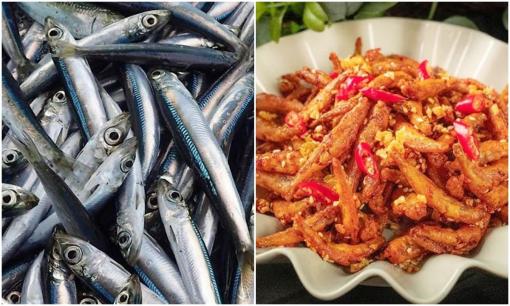 Loại cá có canxi cao gấp 25 lần cá hồi, bổ từ tim đến não: Việt Nam khai thác hàng chục nghìn tấn/năm