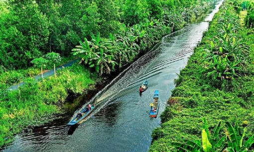 Đây là dòng sông duy nhất dài hơn 40km cắt đôi 2 khu rừng của Việt Nam, được xếp loại quý hiếm trên thế giới