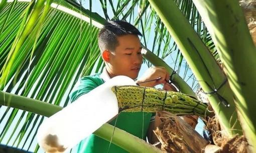 Thạc sĩ bỏ phố về quê, kinh doanh 'vàng lỏng' lấy từ cây dừa: Thu về 30 tỷ đồng/năm