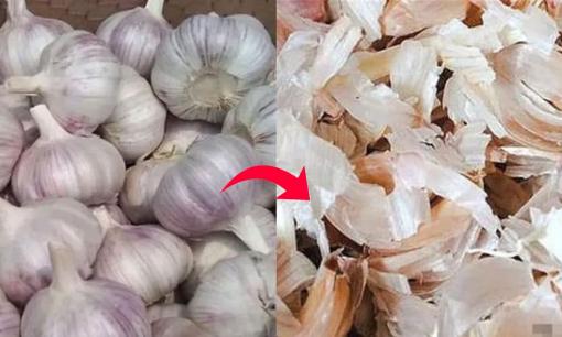 Tưởng vô dụng nhưng vỏ tỏi lại là báu vật với 5 công dụng tuyệt vời mà không phải ai cũng biết