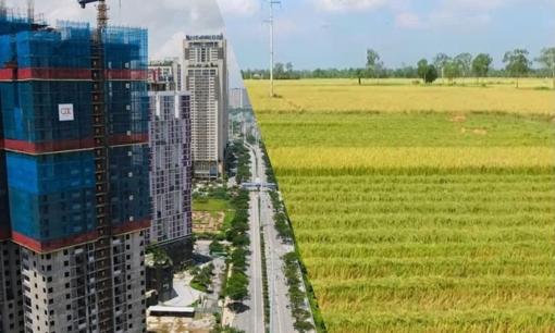 Từ 22/4: Thỏa mãn các điều kiện này sẽ được thí điểm lấy đất nông nghiệp chuyển nhượng làm nhà ở thương mại