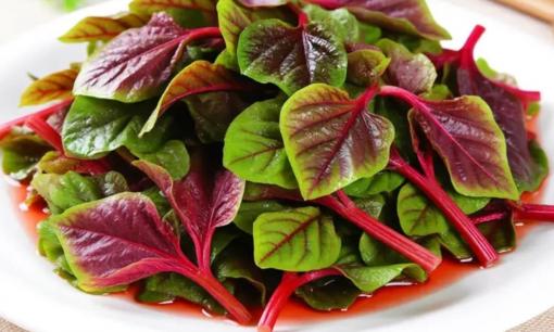 Hàm lượng axit folic của nó cao gấp 46 lần so với dưa chuột! Người trung niên và người cao tuổi nên ăn 2 lần/tuần để thanh nhiệt, giải độc, tràn đầy năng lượng
