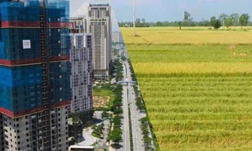 Từ 22/4: Đất nông nghiệp đáp ứng các điều kiện này sẽ được thí điểm chuyển nhượng làm nhà ở thương mại