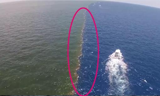 Tại sao nước ở Thái Bình Dương và Đại Tây Dương không thể hòa vào nhau?