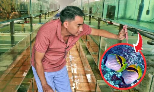 Đây là một nghề hot sau khi dự kiến sáp nhập tỉnh Bà Rịa-Vũng Tàu, Bình Dương với TP.HCM