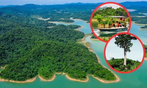 Khám phá vùng đất hữu tình tại 'quê vua đất chúa', được ví Vịnh Hạ Long trên cạn, sở hữu cây cổ thụ quý báu gần 700 tuổi