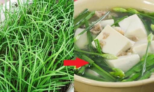 Loại rau này bổ hơn thịt, tốt hơn thuốc, cắm vào đất là mọc như cỏ dại nhưng ít người ăn