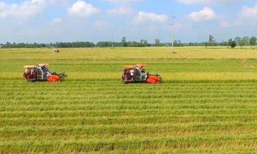 Kể từ bây giờ: Đáp ứng điều kiện này, người dân sẽ được chuyển mục đích sử dụng đất nông nghiệp