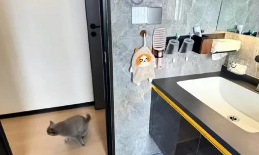 Khi không sử dụng phòng tắm, nên để cửa mở hay đóng? Không phải là mê tín đâu, chỉ cần nhắc nhở gia đình bạn sau khi đọc thôi