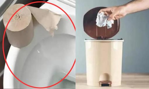 Việc bỏ giấy vệ sinh vào bồn cầu có sai không và có phải đây là nguyên nhân khiến phòng tắm luôn bốc mùi?