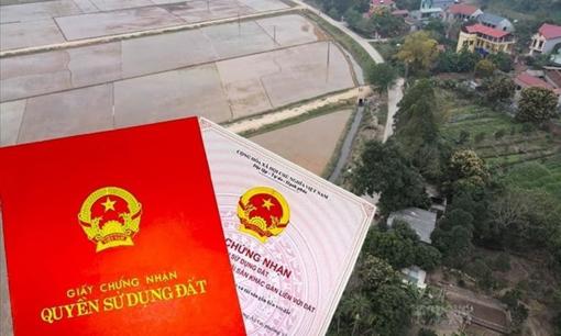 Tự ý chuyển đất trồng lúa sang đất ở tại Hà Nội sẽ bị phạt đến 400 triệu đồng, đúng không?