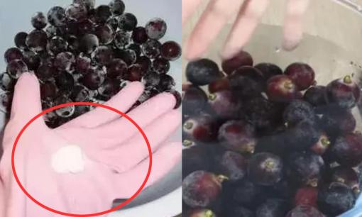 Trứng côn trùng bám trên vỏ nho rất khó nhìn thấy nhưng chỉ với mẹo nhỏ này bạn có thể rửa sạch hoàn toàn