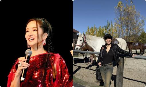 Hồng Nhung phải đính chính điều này sau khi lập di chúc