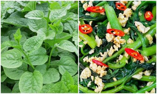 Loại rau giàu canxi hơn sữa, selen gấp 30 lần hành tây, giúp hạ huyết áp, dưỡng xương, rất dễ tìm ngoài chợ