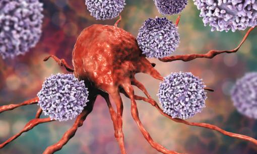 'Chất gây ung thư hạng nhất' được công bố, WHO kêu gọi ngừng tiêu thụ, hãy chắc chắn nói với cha mẹ của bạn sau khi đọc điều này