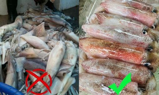 4 món hải sản 'ngậm' nhiều hóa chất độc nhất chợ, phải đặc biệt chú ý kẻo rước bệnh vào người