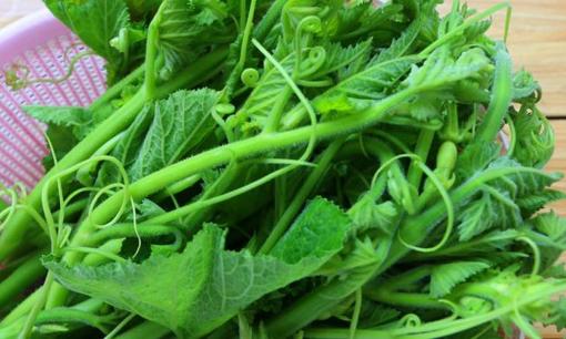 3 loại rau này có khả năng gây ung thư cao, biết sớm để tránh và nói cho người thân biết nhé!