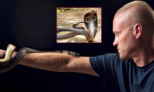 Người đàn ông tự tiêm nọc rắn suốt 18 năm, biến máu mình thành 'thuốc giải' đặc biệt mong sẽ cứu sống hàng triệu người