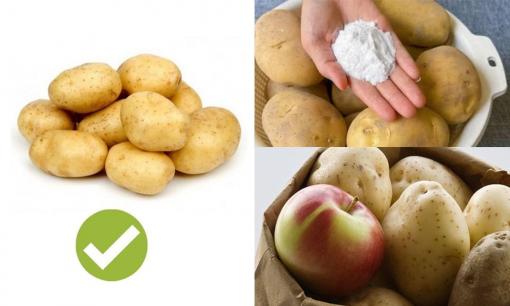 Bảo quản khoai tây chưa bao giờ đơn giản đến vậy, chỉ cần một nắm là không lo hỏng hay mọc mầm