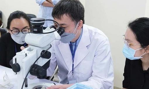 Từ 15/6: Chuyên gia cao cấp tại cơ quan của Đảng, Nhà nước được hưởng quyền lợi lớn, chế độ tương đương Bộ trưởng