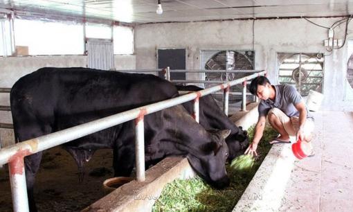 Anh nông dân 8x đổi đời nhờ nuôi loài 'siêu to khổng lồ', giá 50 triệu đồng/con