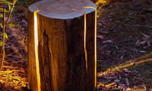 Loại gỗ có thể tự phát sáng trong bóng tối khiến giới khoa học kinh ngạc