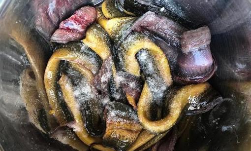 Khi làm sạch lươn, đừng chỉ loại bỏ chất nhờn bề ngoài. Thêm hai thứ này vào thì mùi tanh sẽ biến mất