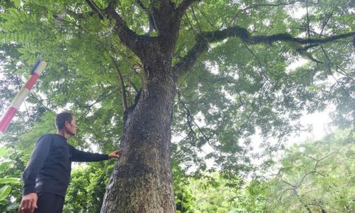 'Khối vàng lộ thiên' hơn 100 năm tuổi tại Hà Nội: Được trả giá 60 tỷ đồng nhưng không ai chịu bán