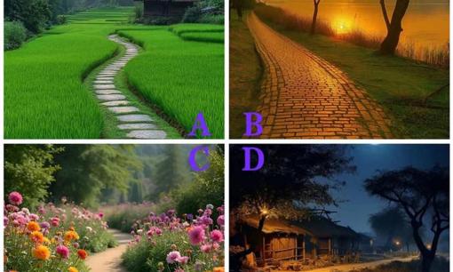 Trắc nghiệm tâm lý: Hãy chọn một con đường nhỏ dựa trên trực giác của bạn để kiểm tra xem bước ngoặt trong cuộc đời bạn nằm ở đâu?