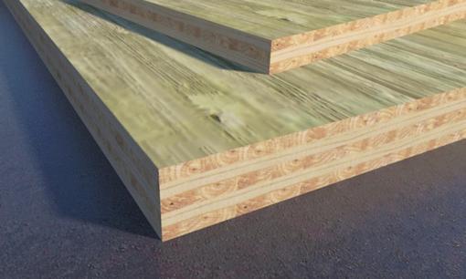 Việt Nam có 1 loại gỗ nổi tiếng cứng cáp, có thể thay thế bê tông trong tương lai, chịu được cả bão gió giật cấp 13