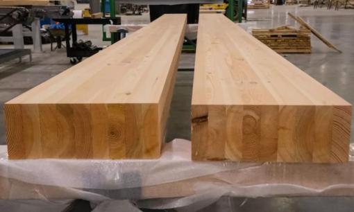 Việt Nam có loại gỗ mới được phát hiện: Có thể thay thế bê tông, khả năng bẻ cong tốt hơn 80% gỗ thường 