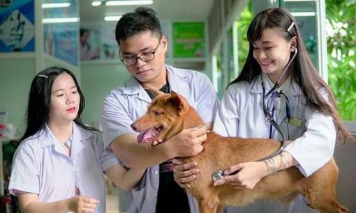 Ngành học có mức học phí chỉ 11 triệu đồng: Tốt nghiệp ra trường có thể kiếm 100 triệu mỗi tháng