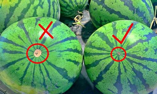 Quên chuyện vỗ tay đoán quả, nhìn đúng 3 điểm này, đảm bảo dưa hấu mọng nước, ngọt lịm