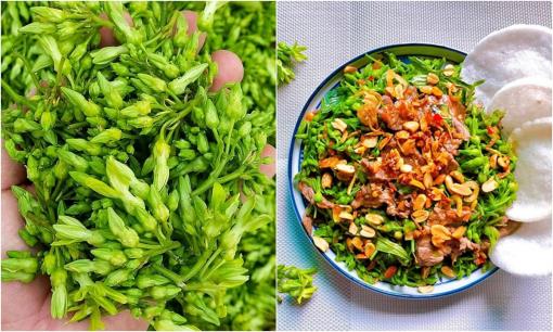 Loại hoa trồng nhiều ở Việt Nam, đem nấu canh giúp bổ gan, thận, người dân đem bán kiếm hơn 1 tỷ đồng/năm
