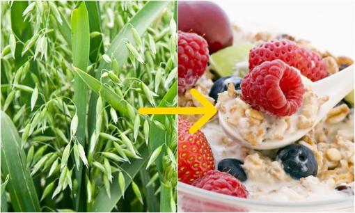 Loại cỏ từng bị nhổ tận gốc không thương tiếc, nay thành 'vàng xanh' giá 5 triệu/kg, hiếm có trên thị trường